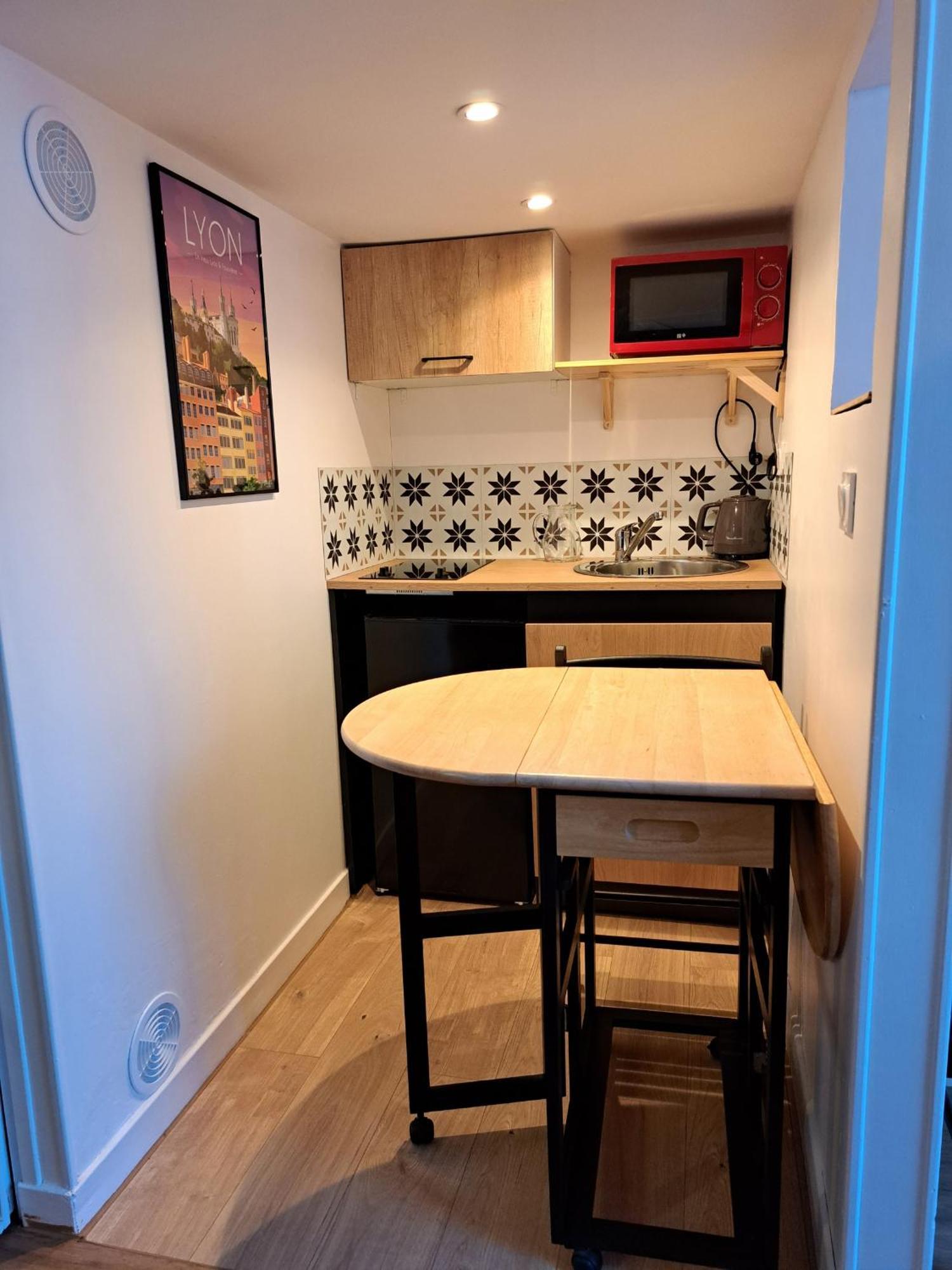 Studio Cosy Entierement Renove A Deux Pas De Lyon Fontaines-sur-Saone Екстер'єр фото