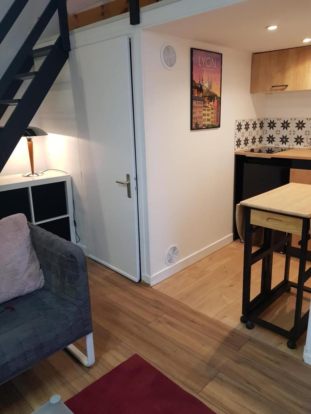 Studio Cosy Entierement Renove A Deux Pas De Lyon Fontaines-sur-Saone Екстер'єр фото
